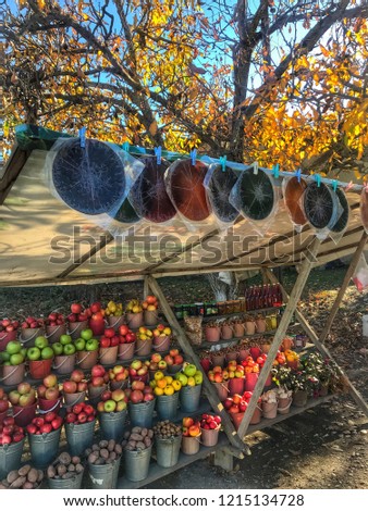 Colorful village view.Fruits and vegetables.Autumn vibes.