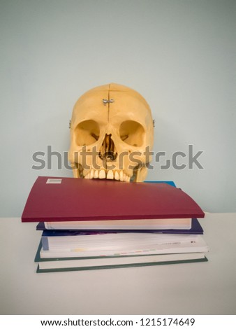 Artificial human skull with some books. Or a medical student after a study session
