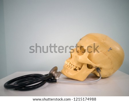 A artificial human skull with a stethoscope