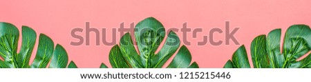 Beautiful floral background of tropical tree leaves monstera and palm, with a space for a text, flat lay composition Summer, exotic, travel, paradise, beauty concept Top view Copy space Banner