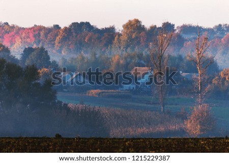 Picturesque autumn landscape in the fog. Foggy morning autumn landscape in bright autumn colors of trees. Gentle foggy morning picture for calendar, greeting card, background