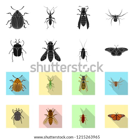 Isolated object of insect and fly icon. Collection of insect and element vector icon for stock.