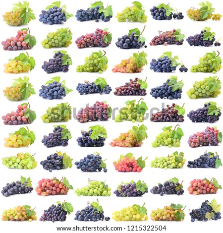 Collection Grapes on a white background