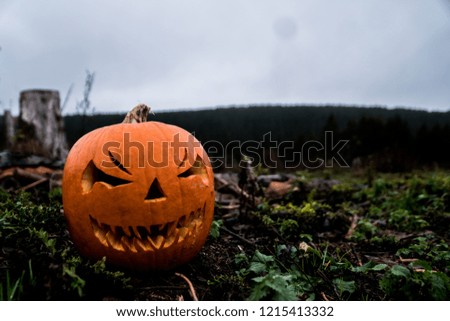 scary halloween pumpkin in the forest