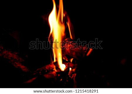 Bright fire of bonfire