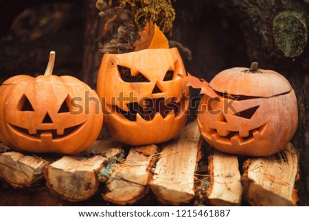 Halloween jack-o'-lanterns in the wood. Decorations for Haloween. Spooky faces