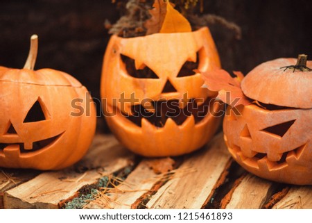 Halloween jack-o'-lanterns in the wood. Decorations for Haloween. Spooky faces