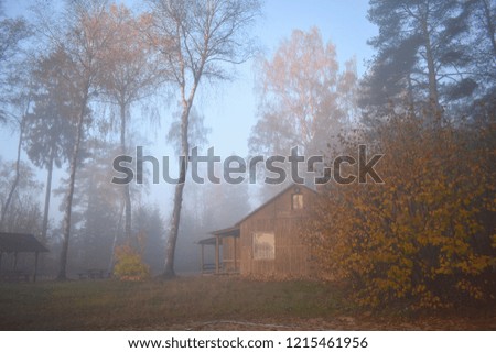 Foggy autumn morning. Lithuania landscape