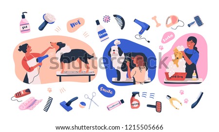 Collection of scenes with people grooming dogs and items for coat care. Women caring of domestic animals or pets - blow drying, cutting fur, washing. Colored vector illustration in flat cartoon style. Royalty-Free Stock Photo #1215505666