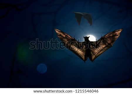 The bat is spreading its wings on the full moon night.