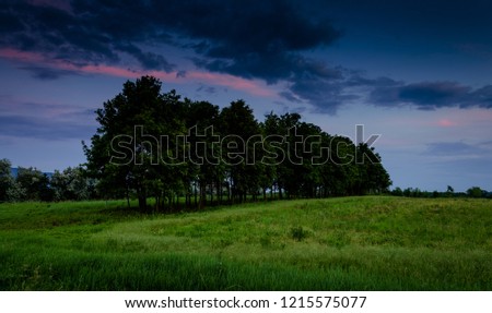 green field and night background