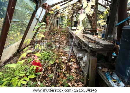 Old abandoned greenhouse interior overgrown