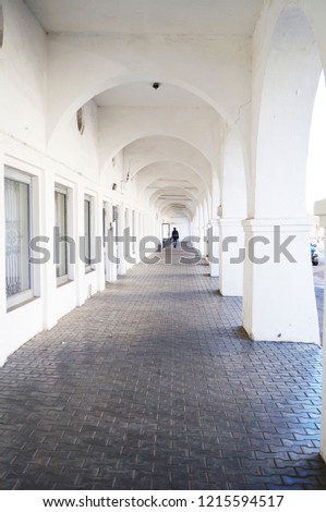           
Rows in the Kostroma, a gallery of beautiful arches                     
