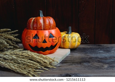 Halloween pumpkin head Jack lantern with ear of paddy on black background