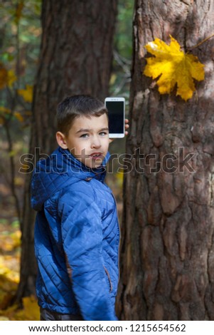 boy photographing on the smartphone autumn maple leaf in the park