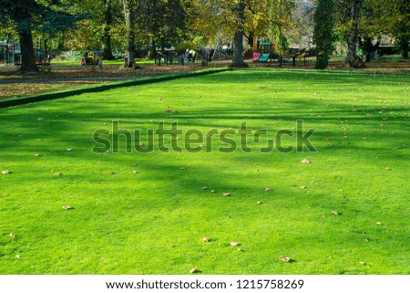 A crown bowling green in the park in autumn
