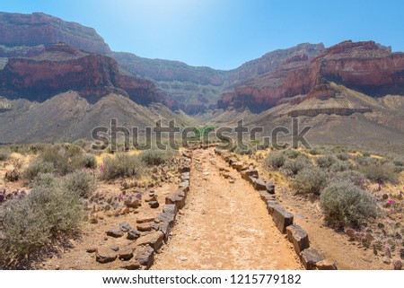 View of Bright Angel trail in Grand Canyon National Park, Arizona, Usa