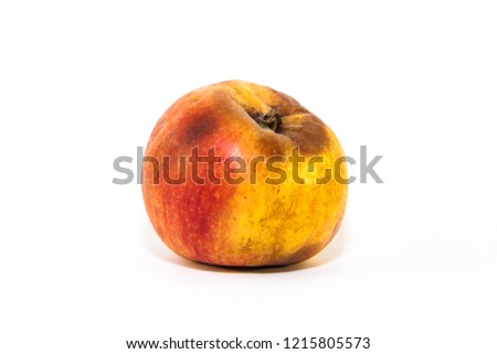 Old rotten apple on white background