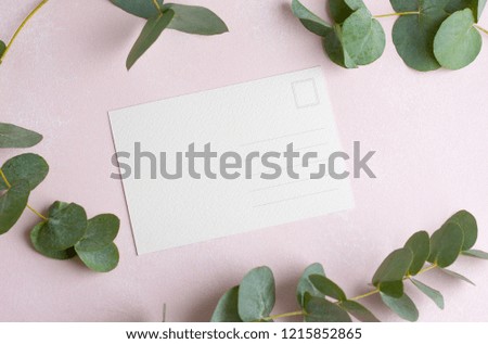 Mockup for a postcard on a pink background with green leaves on eucalyptus branches, paper texture is rough (great for calligraphy or watercolor drawing)