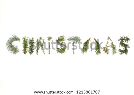 Christmas composition. Word Christmas made of different winter plants on white background. Flat lay, top view.