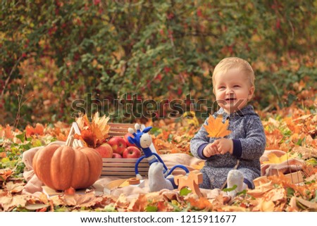 Little boy on a picnic in the autumn forest, the child plays with wooden toys among the yellow foliage. Autumn family picnic with pumpkin, crate of apples and cones, toys