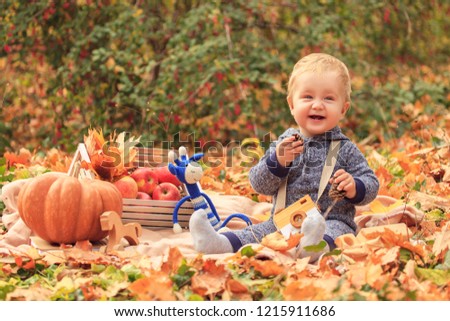 A little boy with a bump in his hands at a picnic in the autumn forest, the child is playing with wooden toys among the yellow foliage. Autumn family picnic with pumpkin, crate of apples and cones