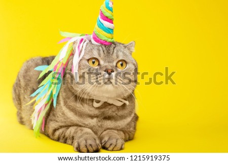 Cute cat unicorn with a colored horn on a yellow background. The concept of fairy tales, fashion, funny and sweet cats, love and holiday