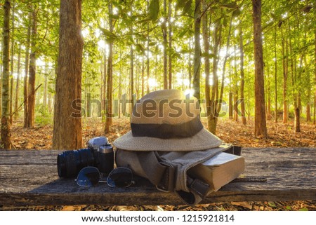 A tourism concept picture of a camera, eyeglasses, hat, and a book on wooden table beside green beautiful forest in the morning sunrise. 