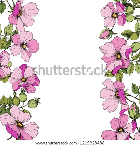 Wildflower rosa canina in a vector style isolated.  Frame border ornament square. Green and pink engraved ink art. Vector flower for background, texture, wrapper pattern, frame or border. Royalty-Free Stock Photo #1215928486