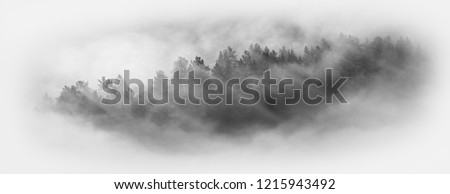 Fog in the forest, landscape on white background Royalty-Free Stock Photo #1215943492