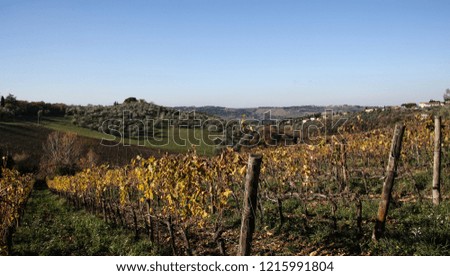 Rural Tuscany Landscape
