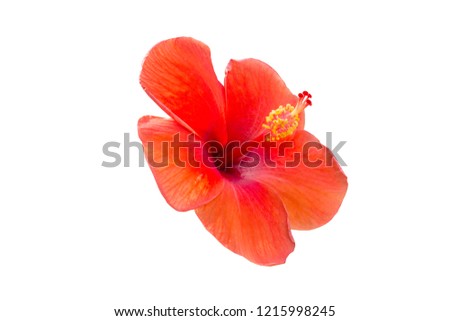 Thai flowers isoloated on white background (Used for editing)