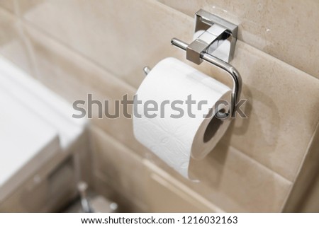 Roll of white toilet paper on metal paper holder.