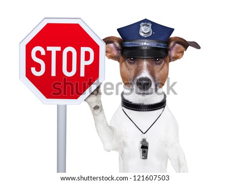 police dog with a street stop sign