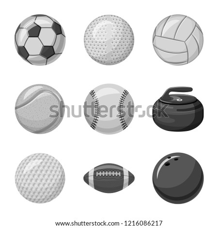 Vector illustration of sport and ball icon. Collection of sport and athletic stock vector illustration.