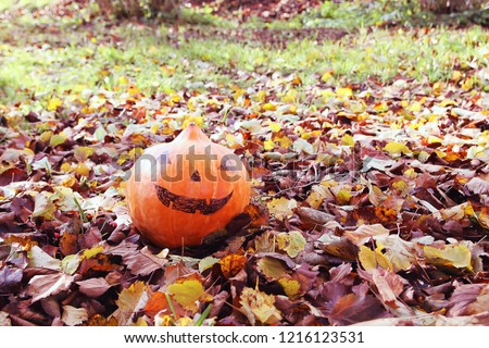 Funny Halloween pumpkin in autumn park with fall leaves.