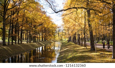 Golden autumn in the park