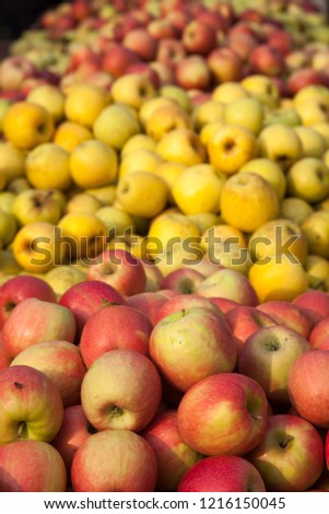 autumn fruit apples pomegranate medlars autumn in italy
