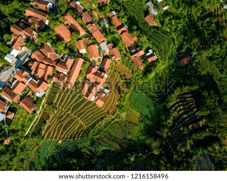 Aerial View of Rice Field Terrace and Village, Bandung, West Java Indonesia, Asia