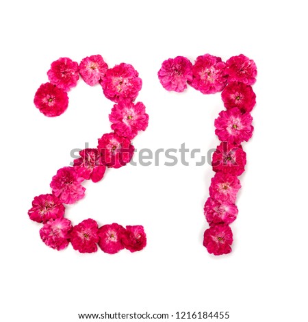 number 27 from flowers of a red and pink rose on a white background. Typographical element for design. Flower numbers, date, isolate, isolated