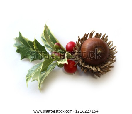 Christmas ornament of hiiragi leaves, acorn and coral bush and Alpinia formosana nuts