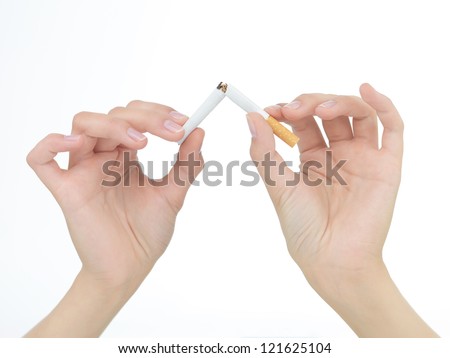 closeup of female  hands breaking a cigarette in two isolated on white