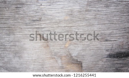 Tree bark background                 