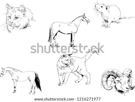 Set of vector drawings of different animals, hand-drawn sketches, objects with no background