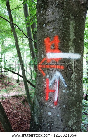 Tree marked for felling