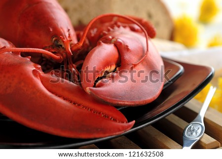 Boiled Atlantic Lobster Royalty-Free Stock Photo #121632508