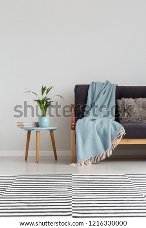 Striped carpet on the floor of elegant living room with comfortable sofa with blue blanket, real photo on the empty grey wall
