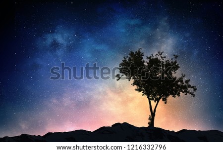 Lonely tree in night