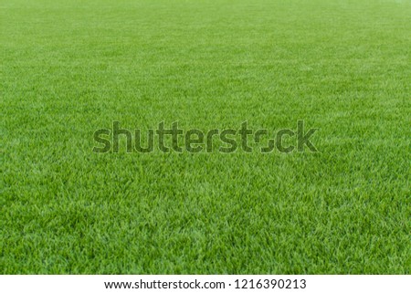Beautiful green soccer turf