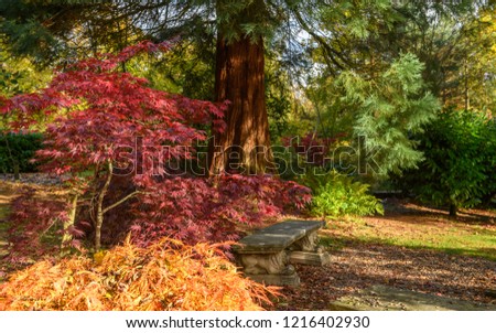 Beautiful Fall colours